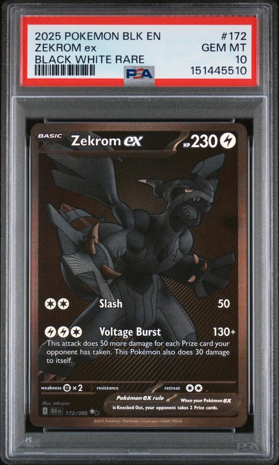 Zekrom Ex