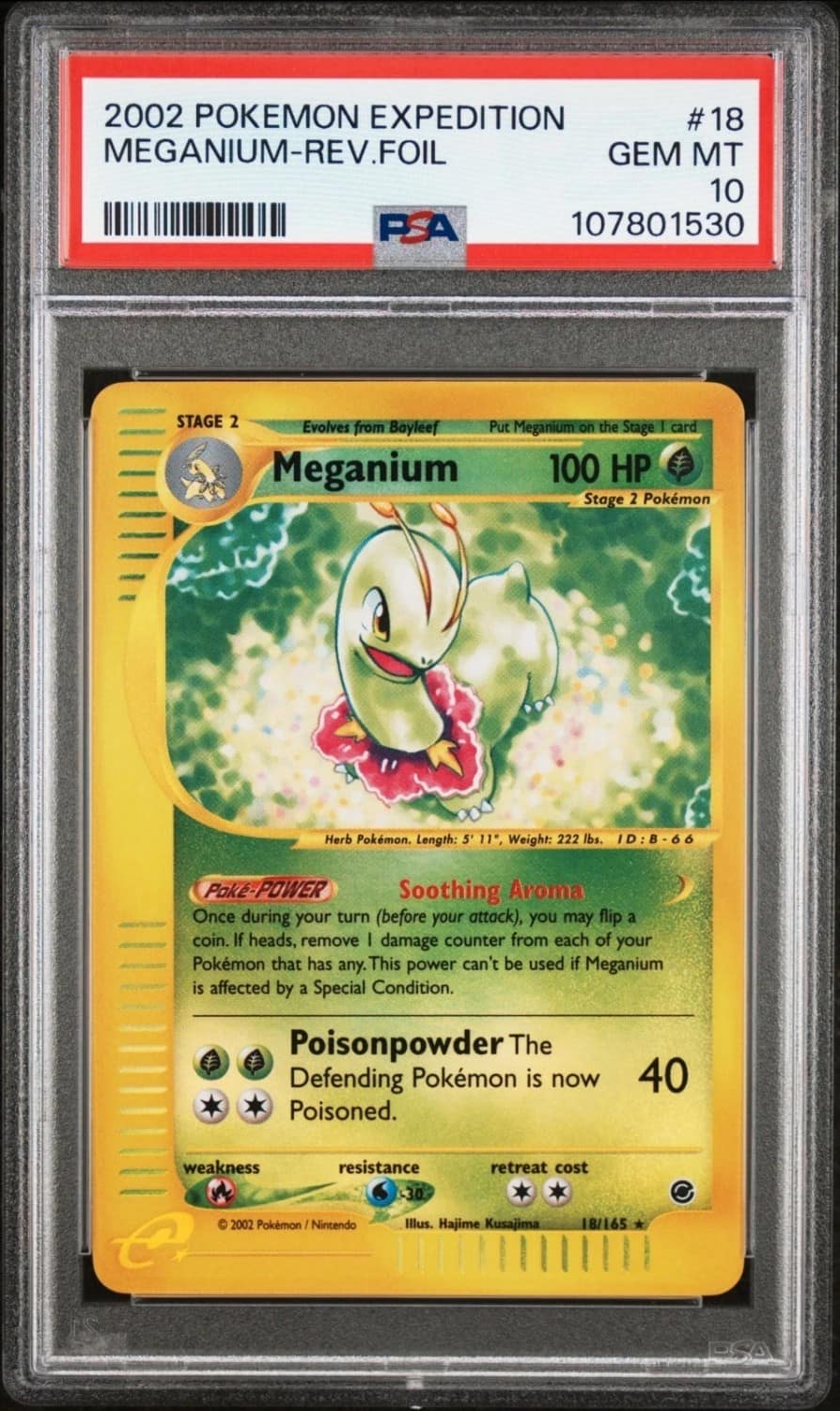 Meganium