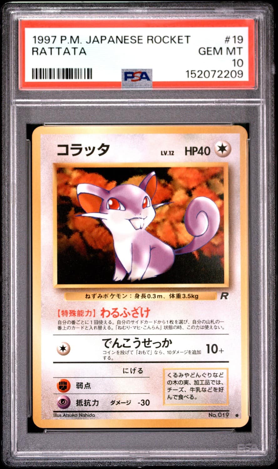 Rattata