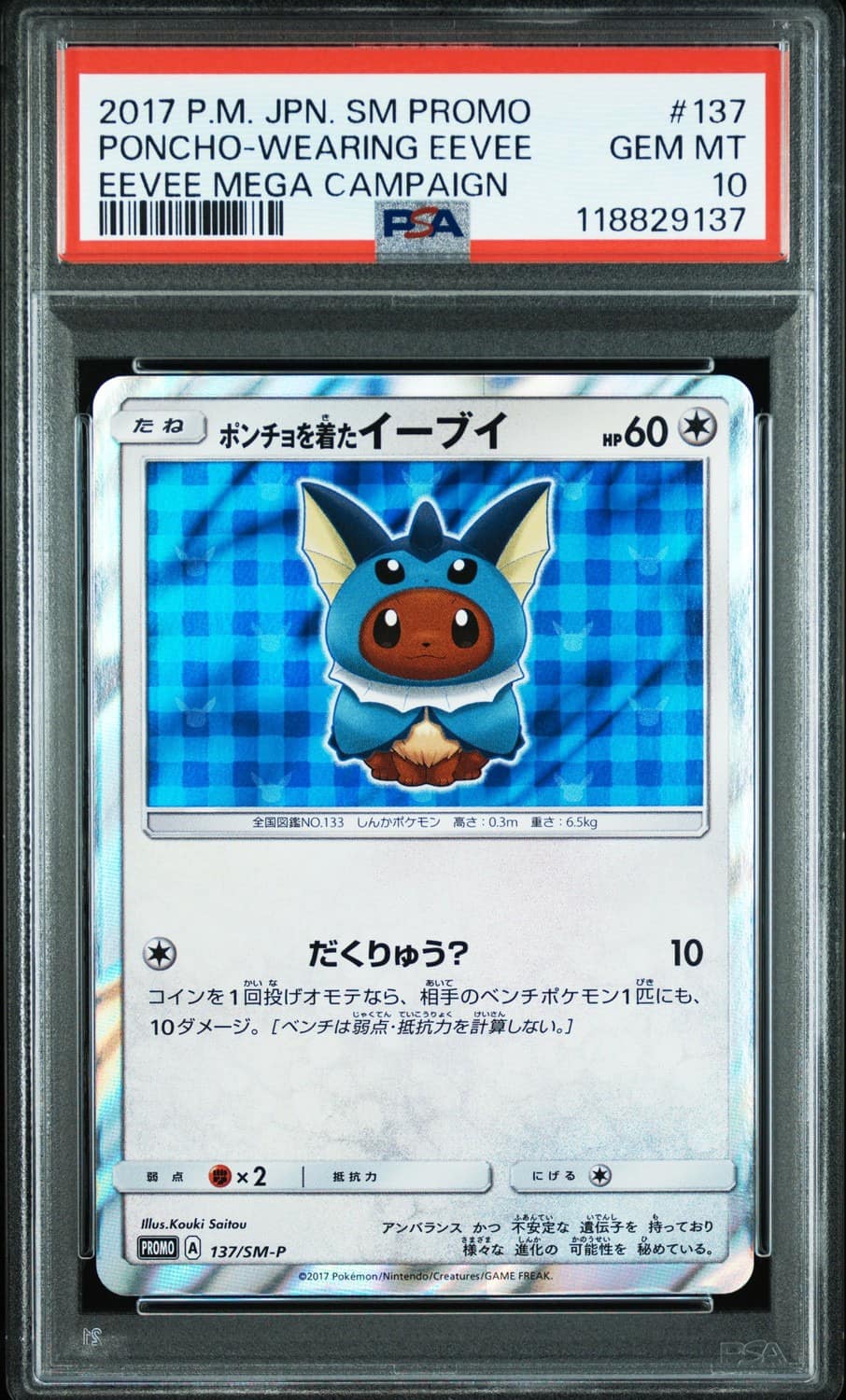 Poncho-Wearing Eevee