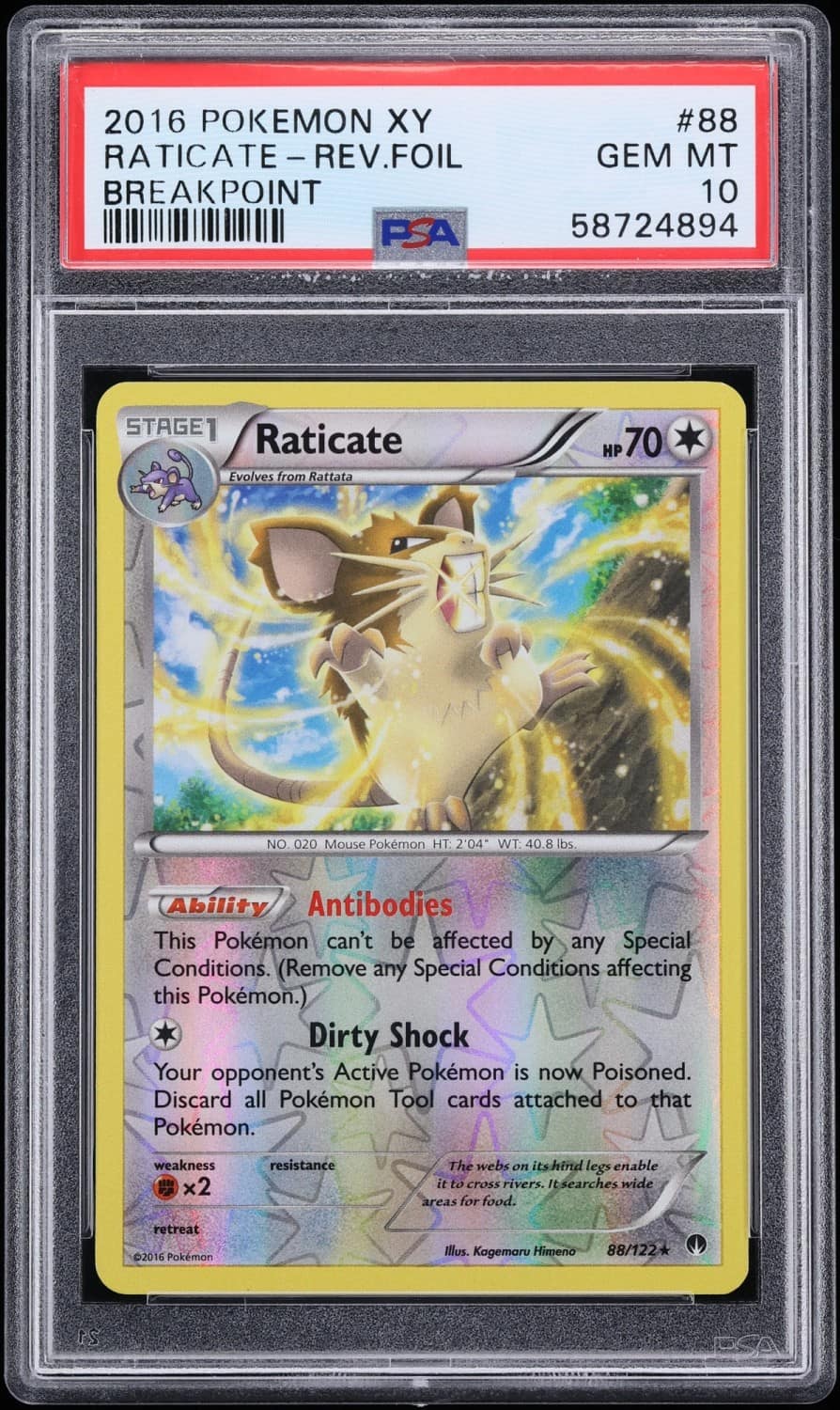 Raticate