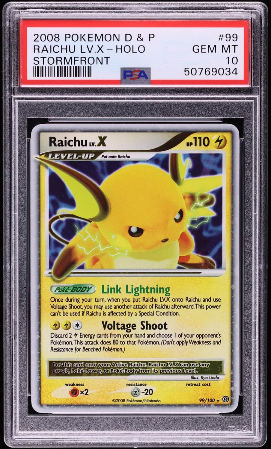 Raichu Lv X