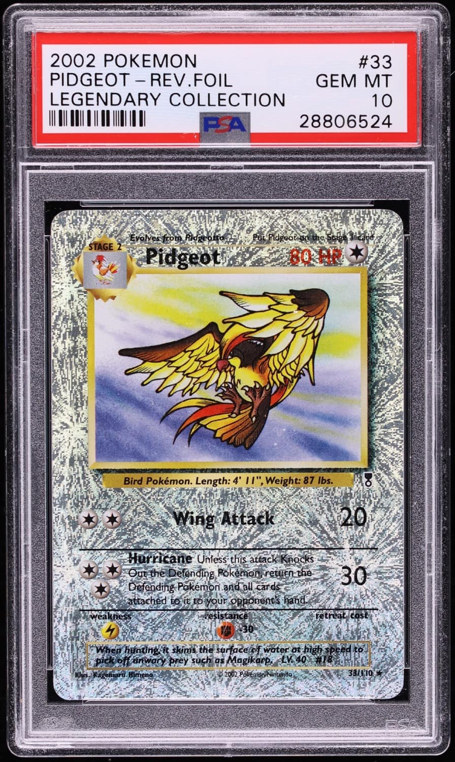 Pidgeot