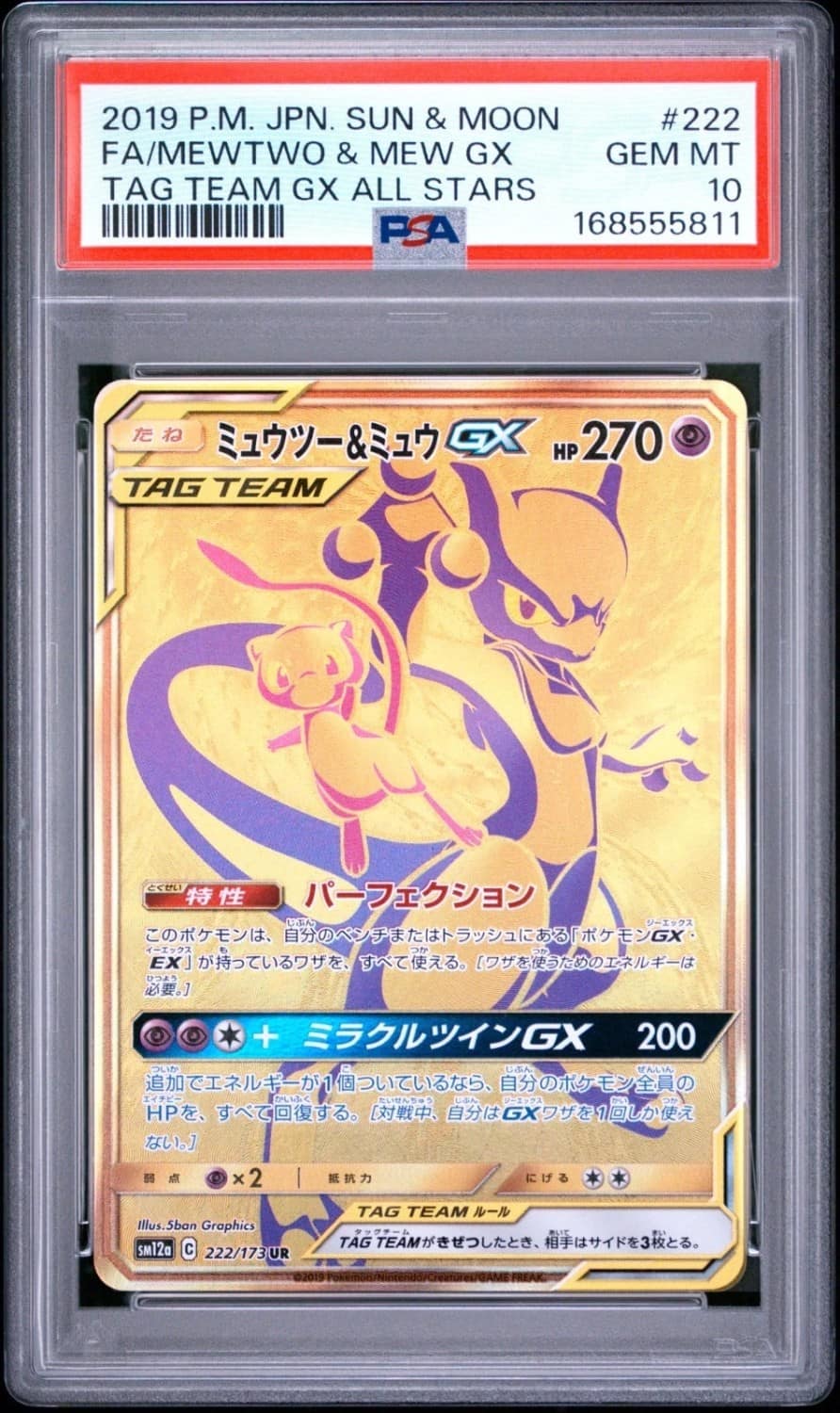 Mewtwo & Mew Gx