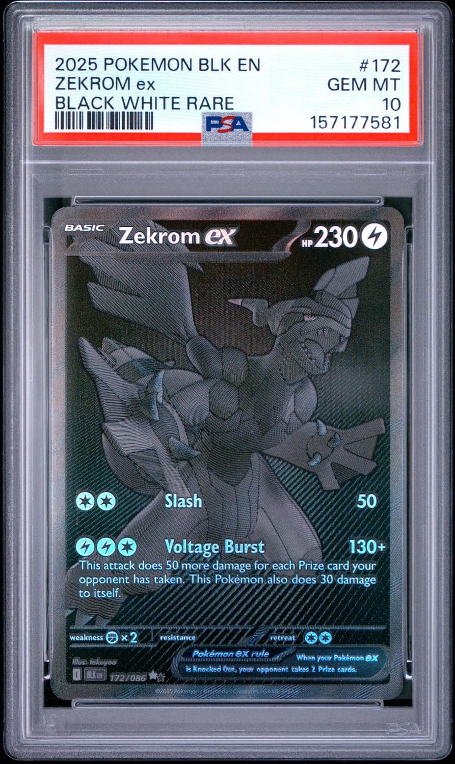 Zekrom Ex