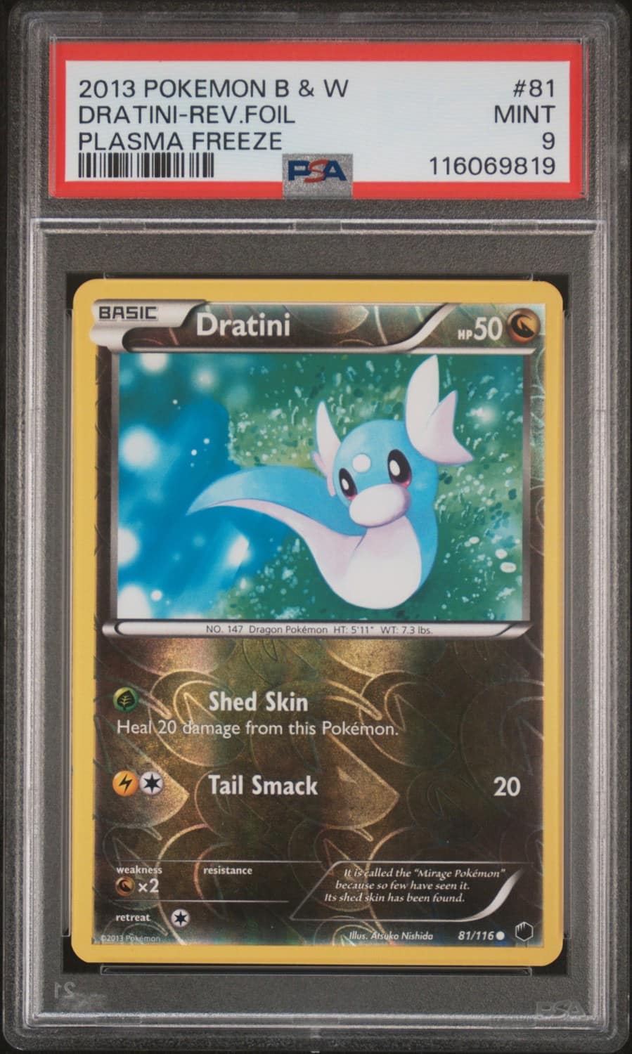 Dratini