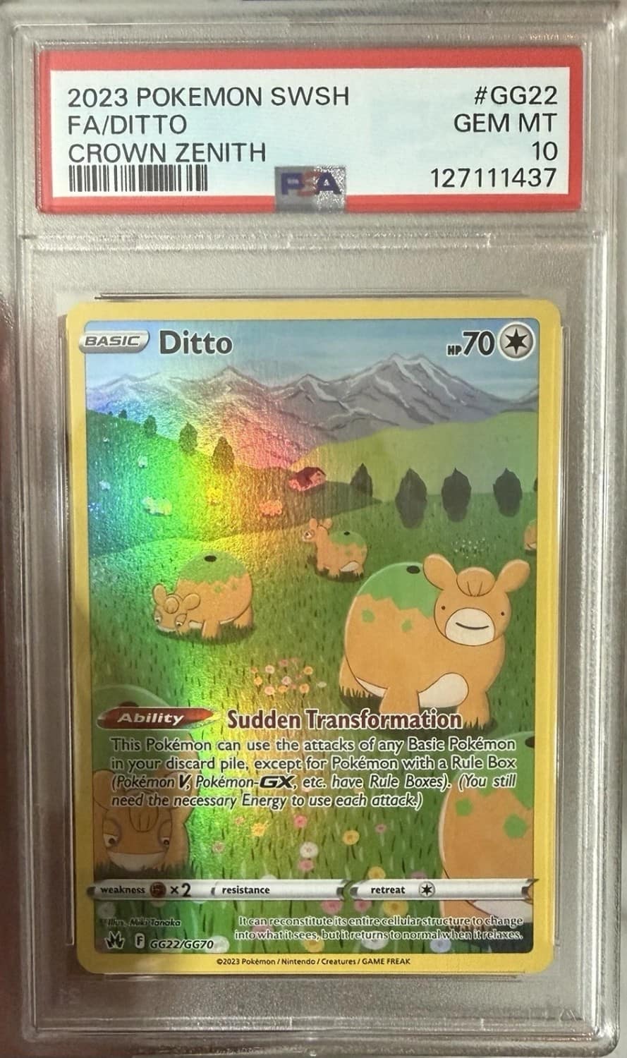 Ditto