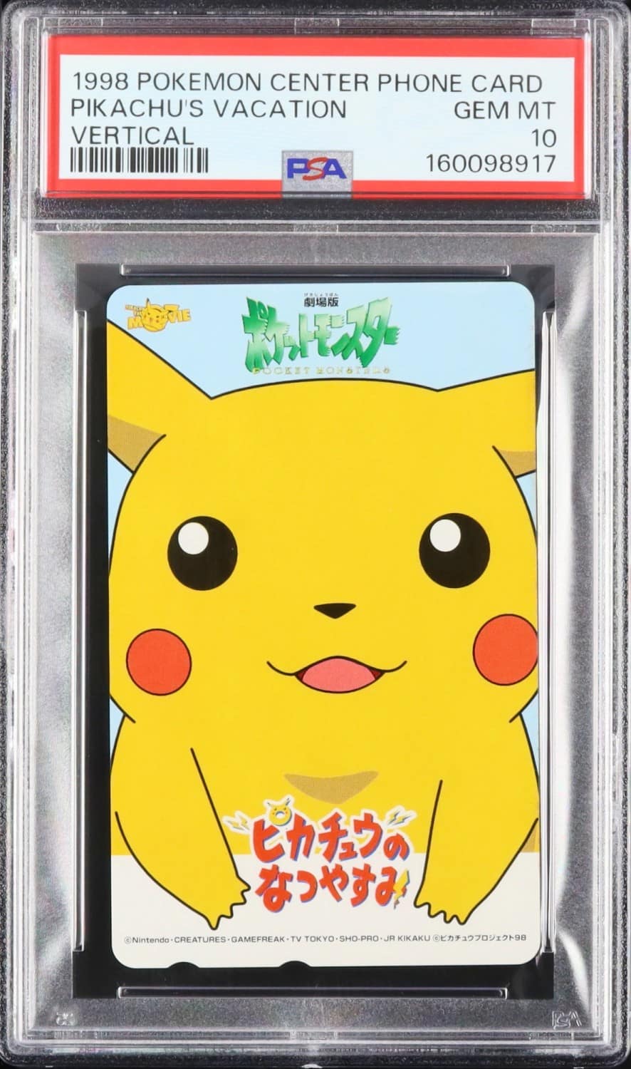 Pikachu'S Vacation