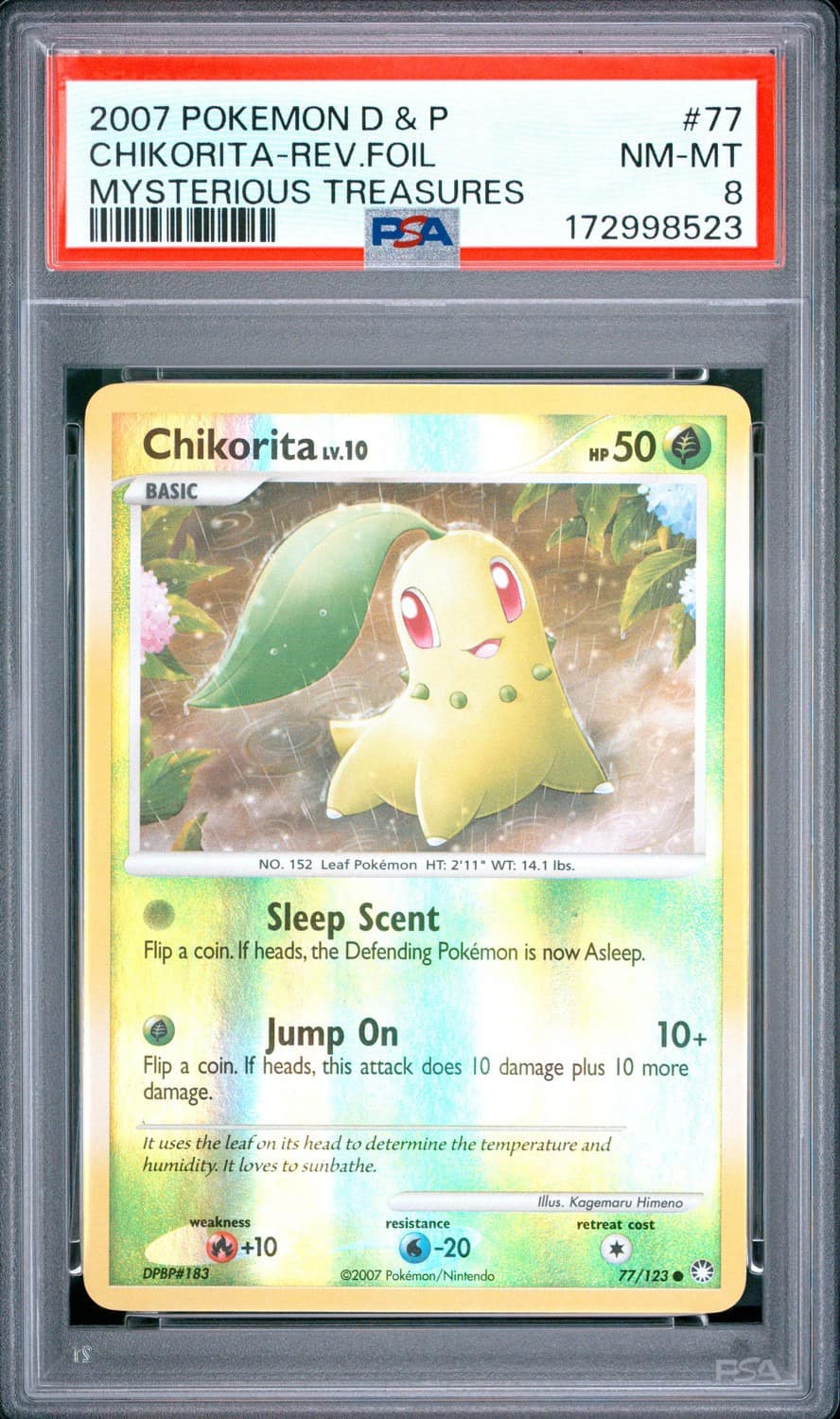Chikorita