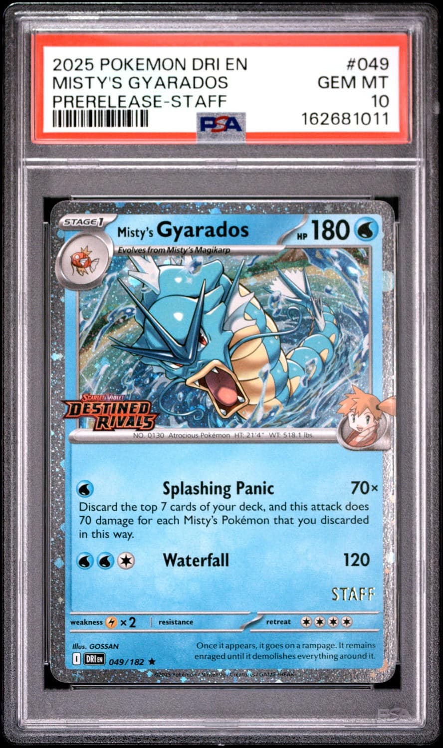 Misty'S Gyarados