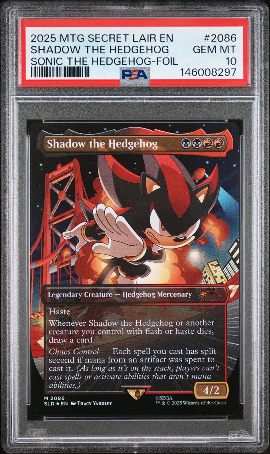 Shadow The Hedgehog