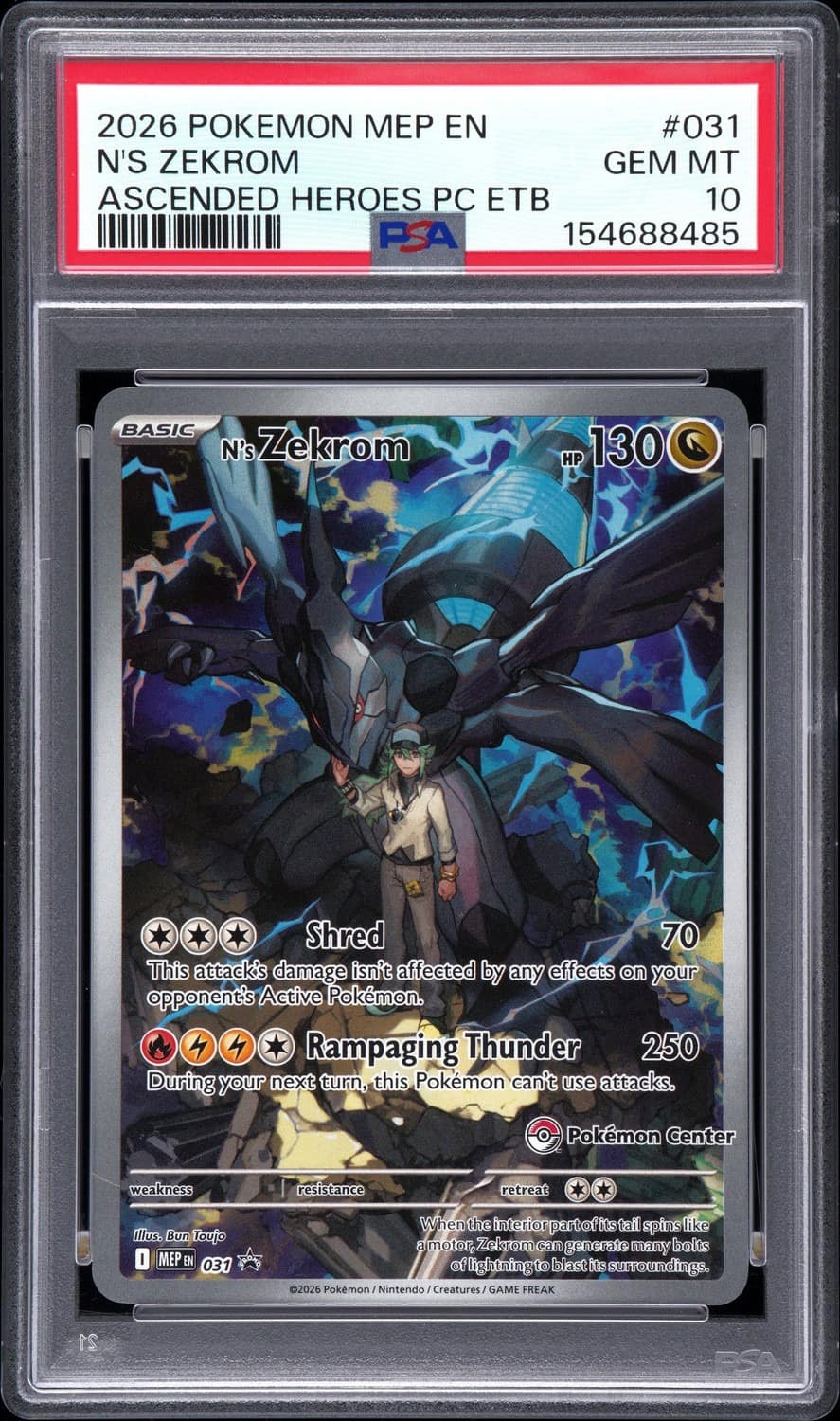 N'S Zekrom