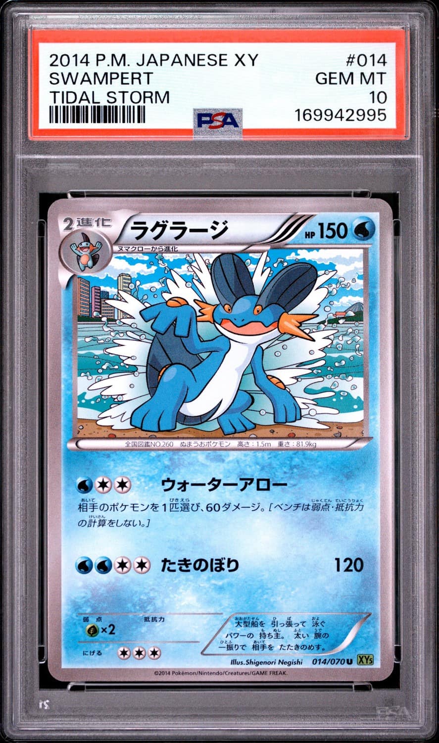 Swampert