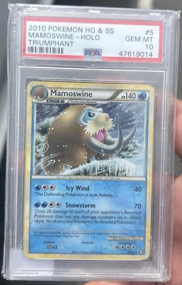 Mamoswine