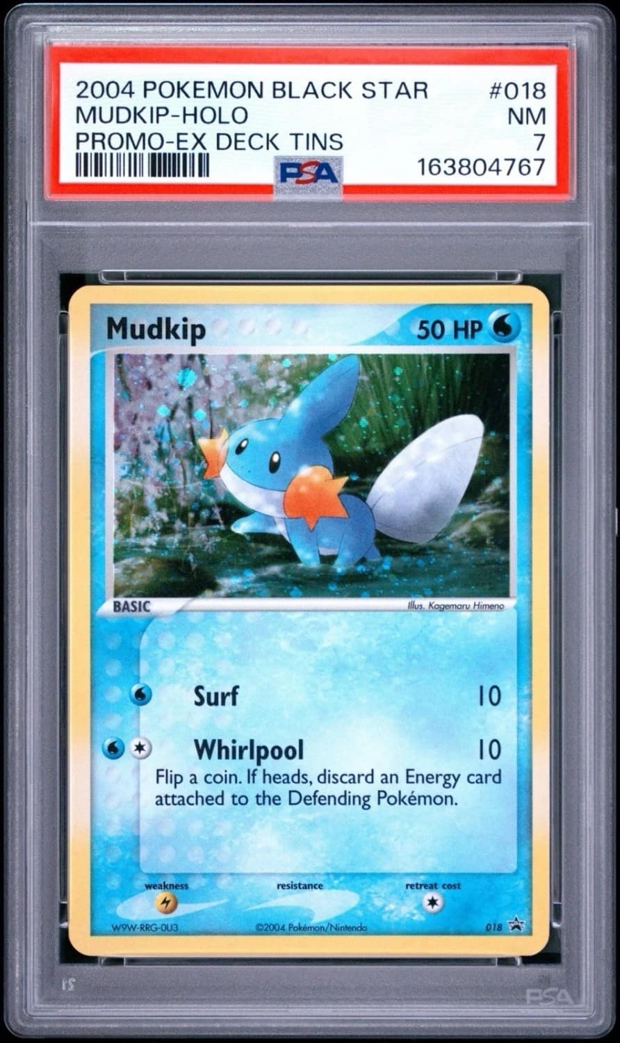 Mudkip