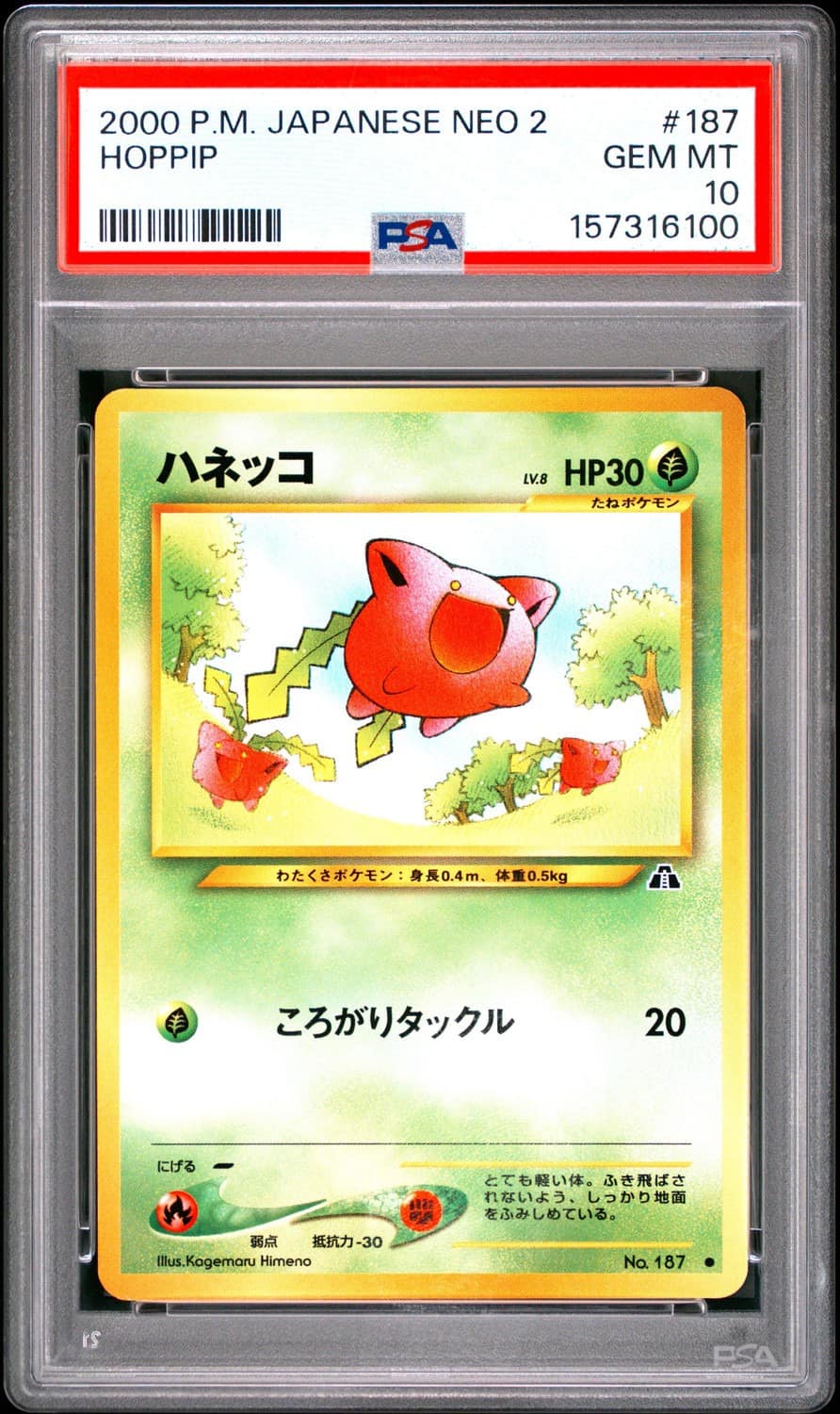 Hoppip