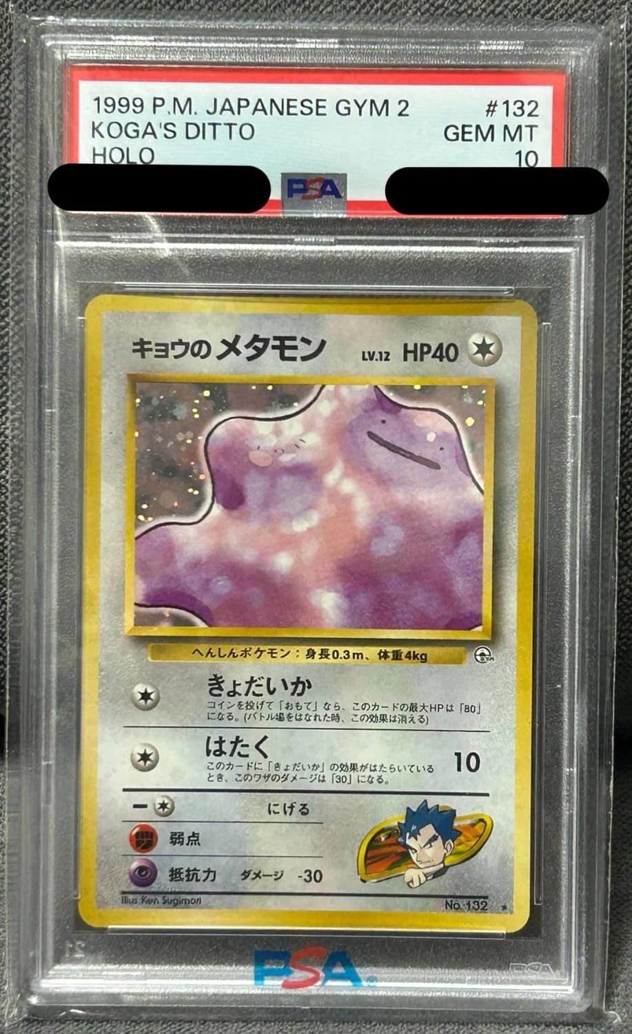 Koga'S Ditto