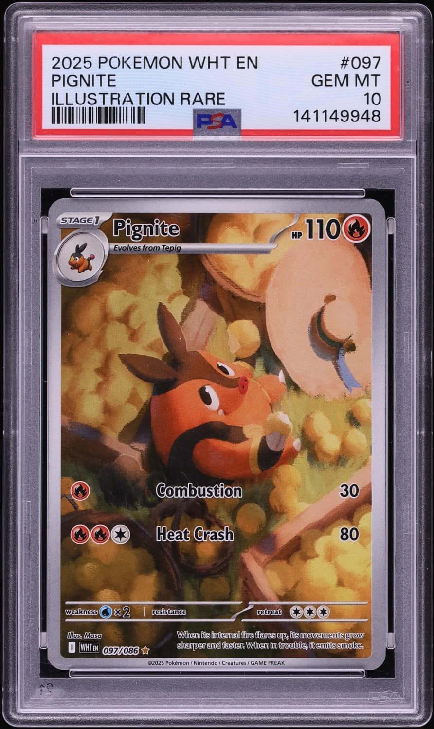Pignite