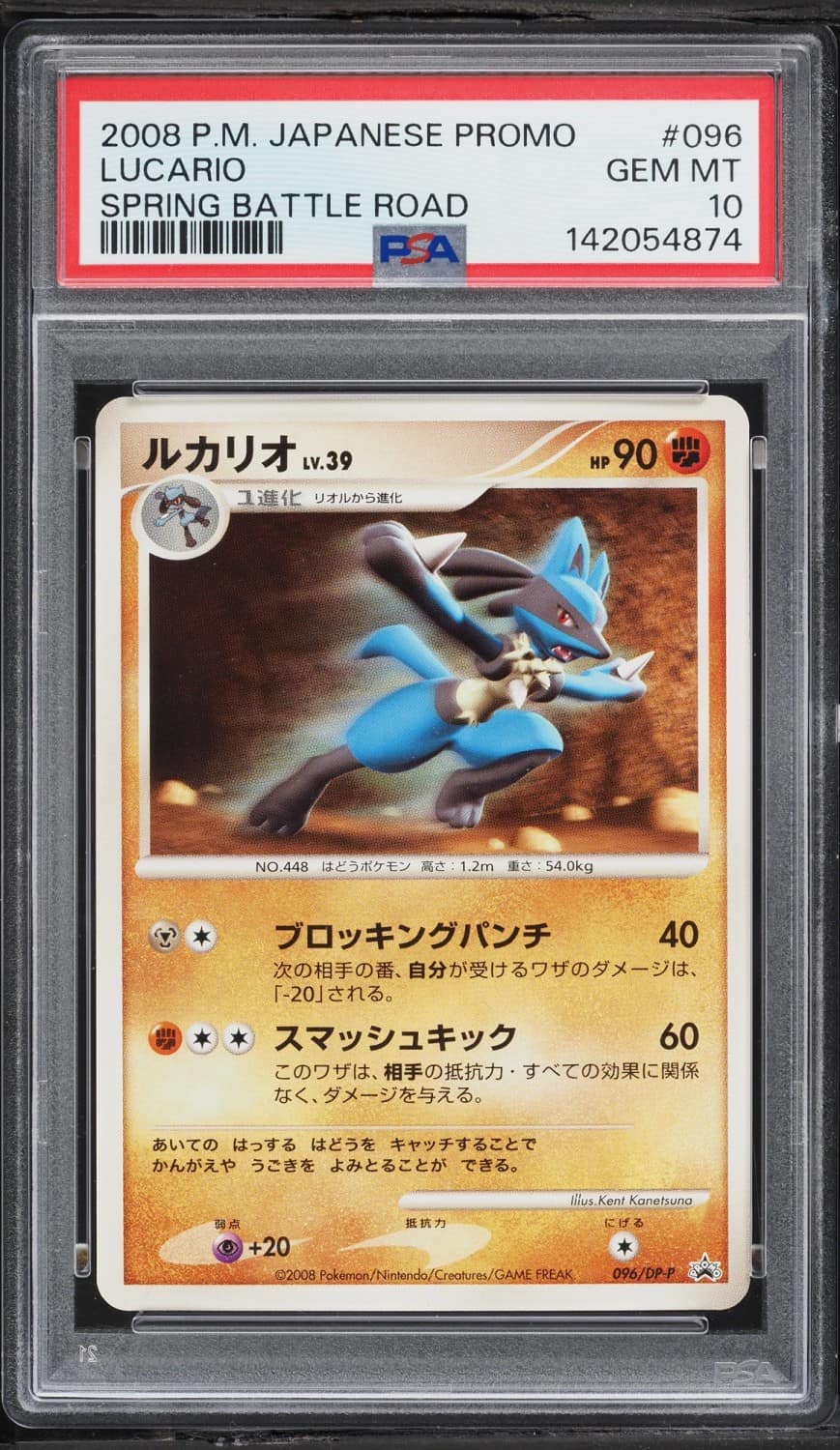 Lucario