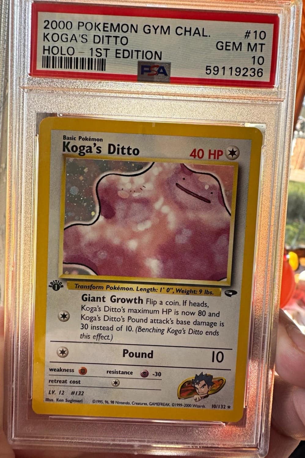 Koga'S Ditto