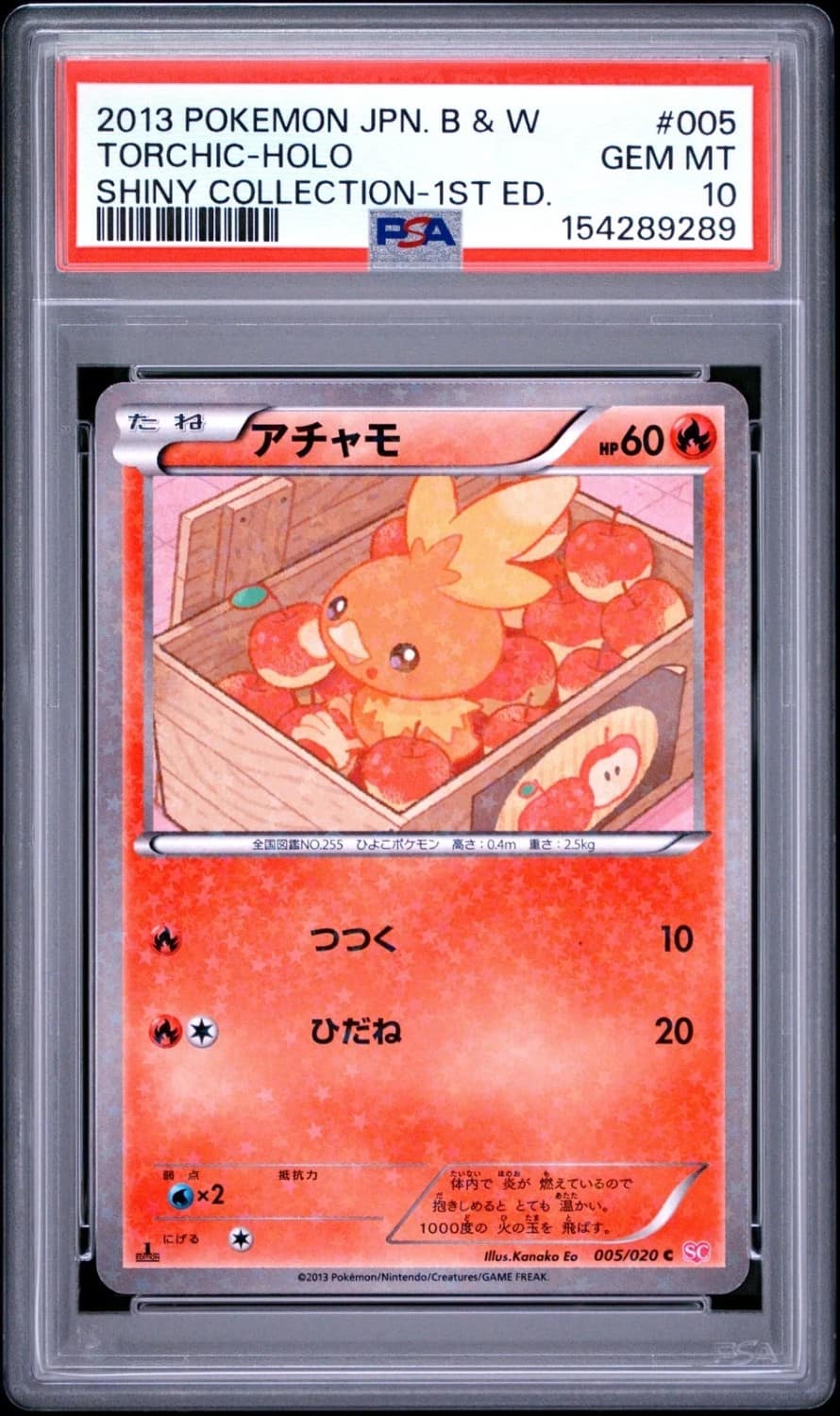 Torchic