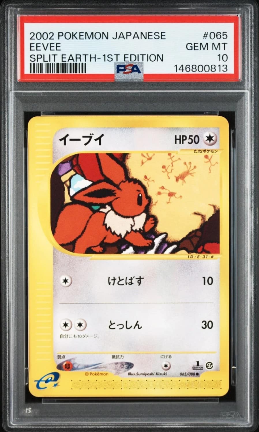 Eevee
