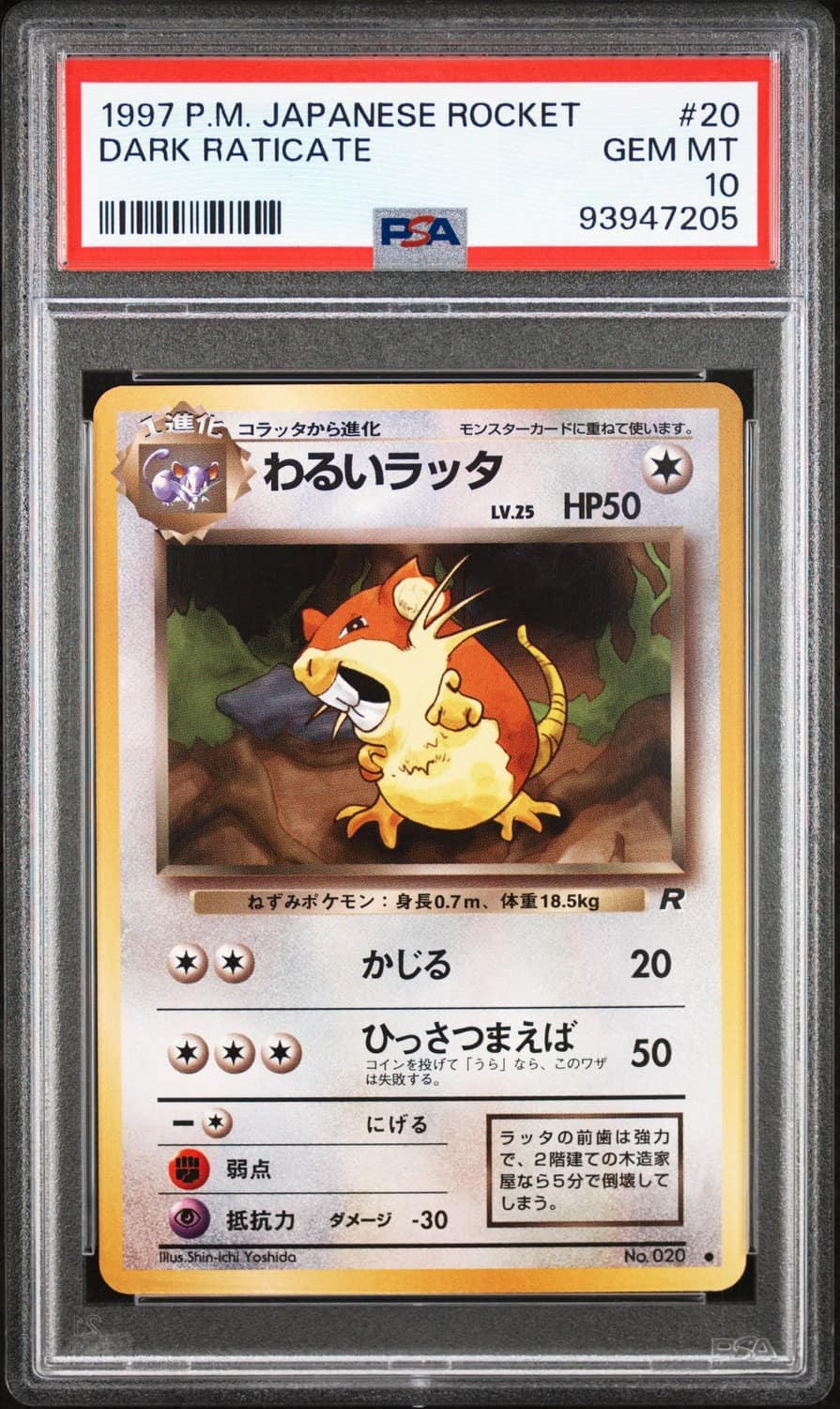 Dark Raticate