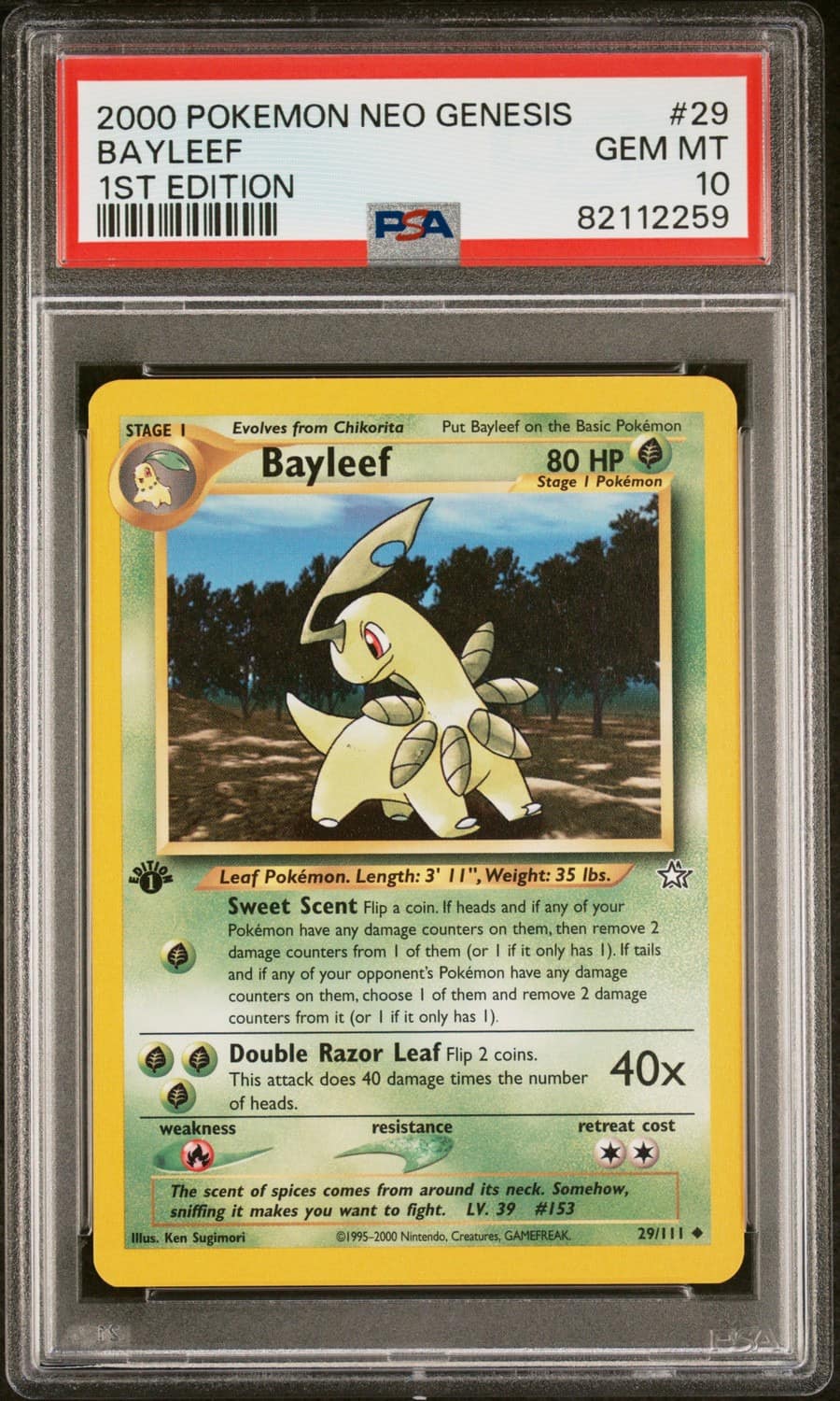 Bayleef