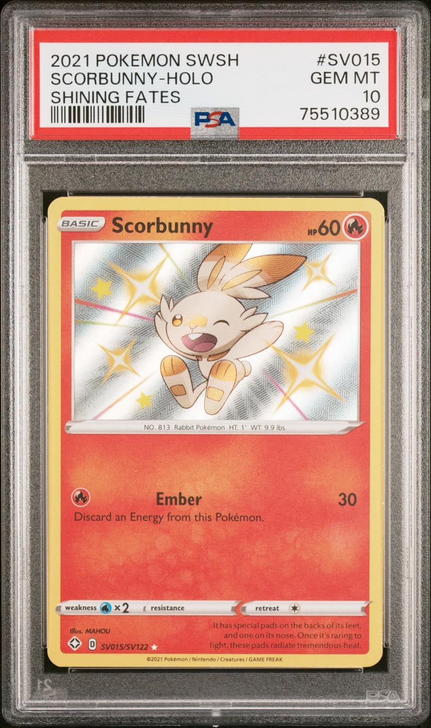 Scorbunny