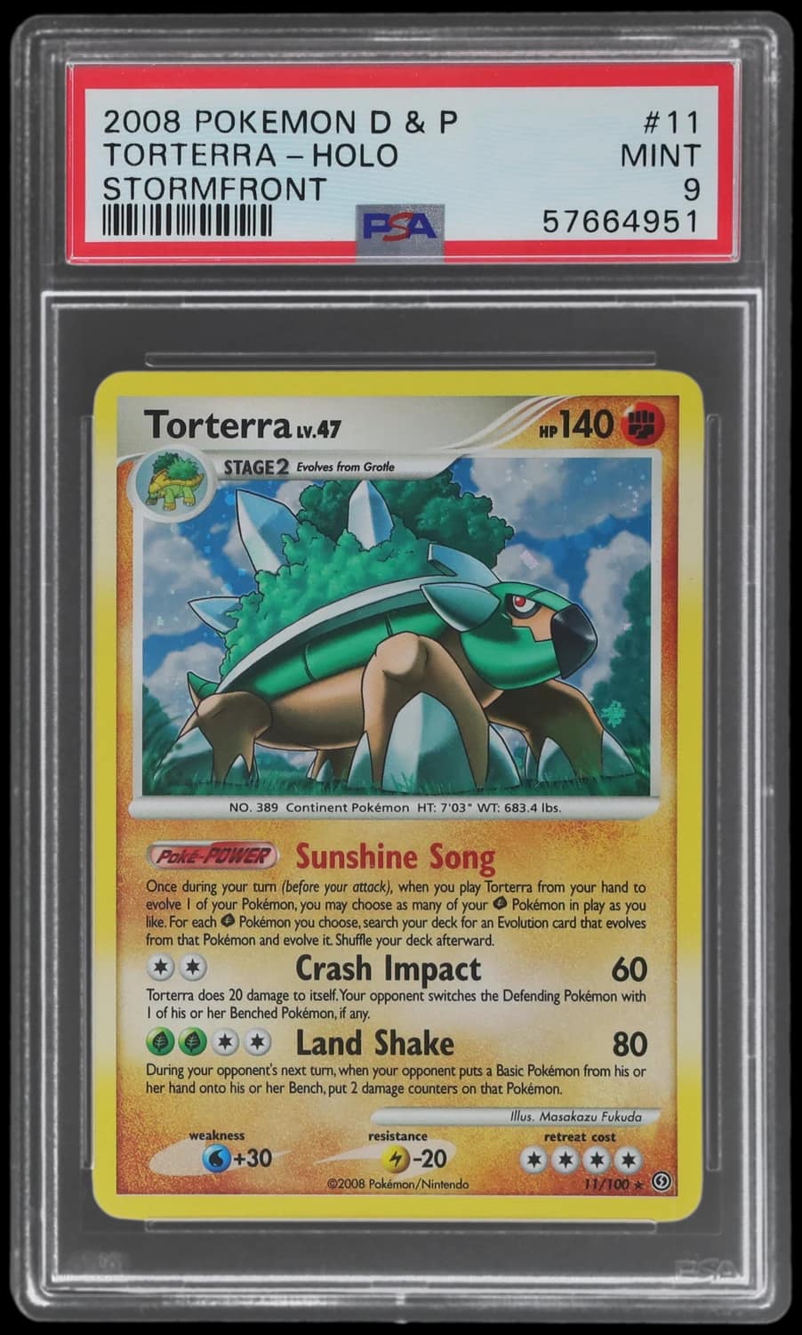 Torterra