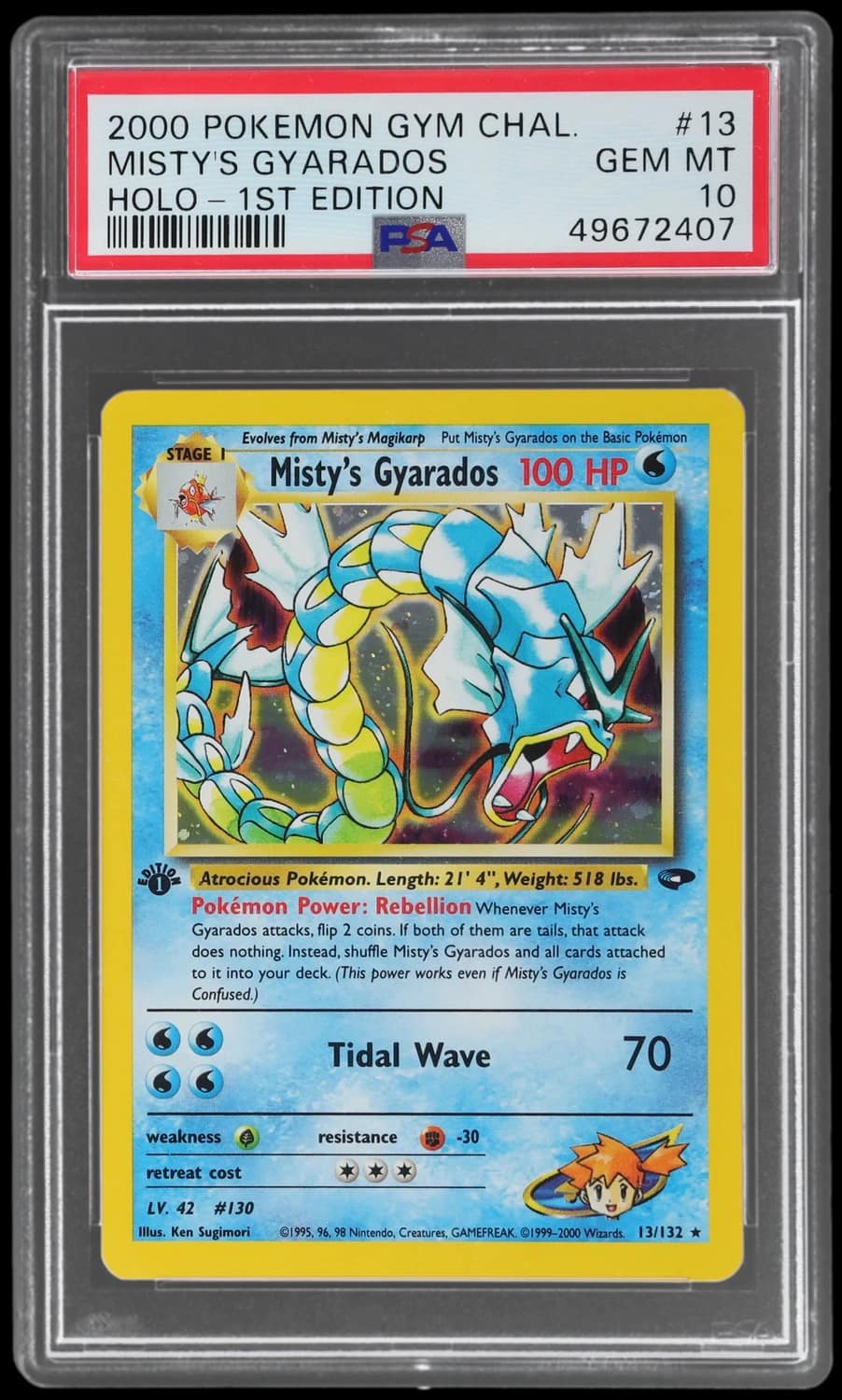 Misty'S Gyarados