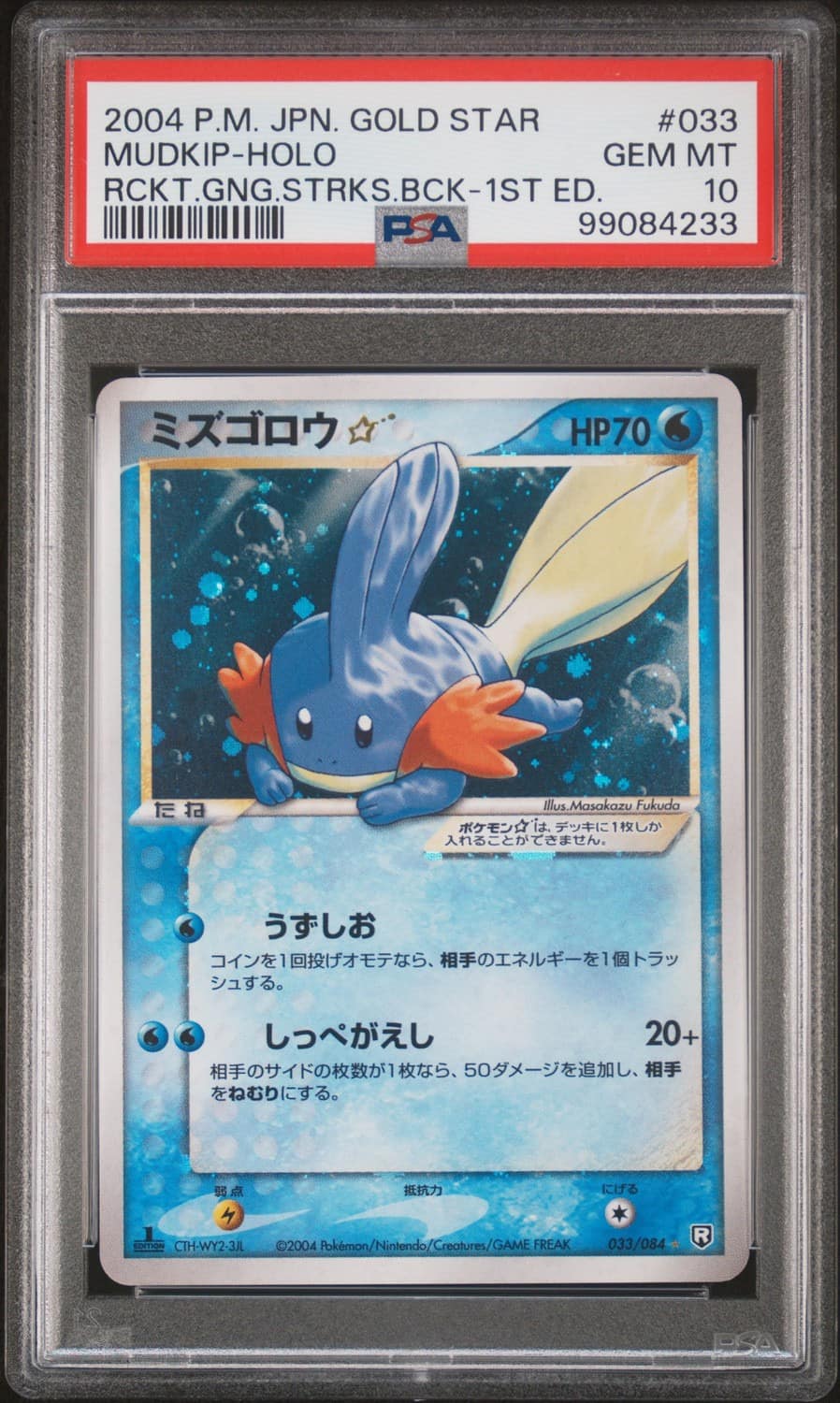 Mudkip