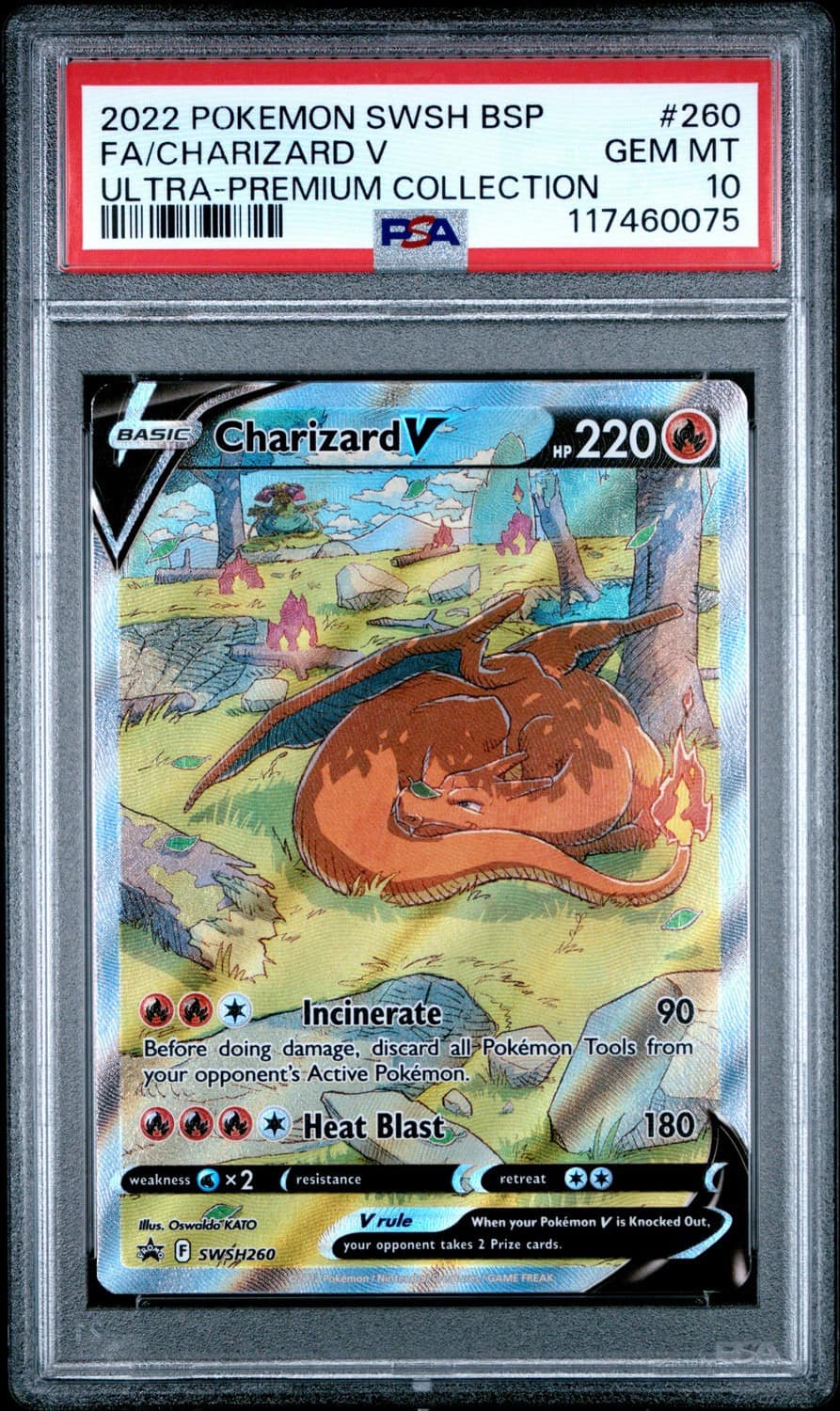 Charizard V