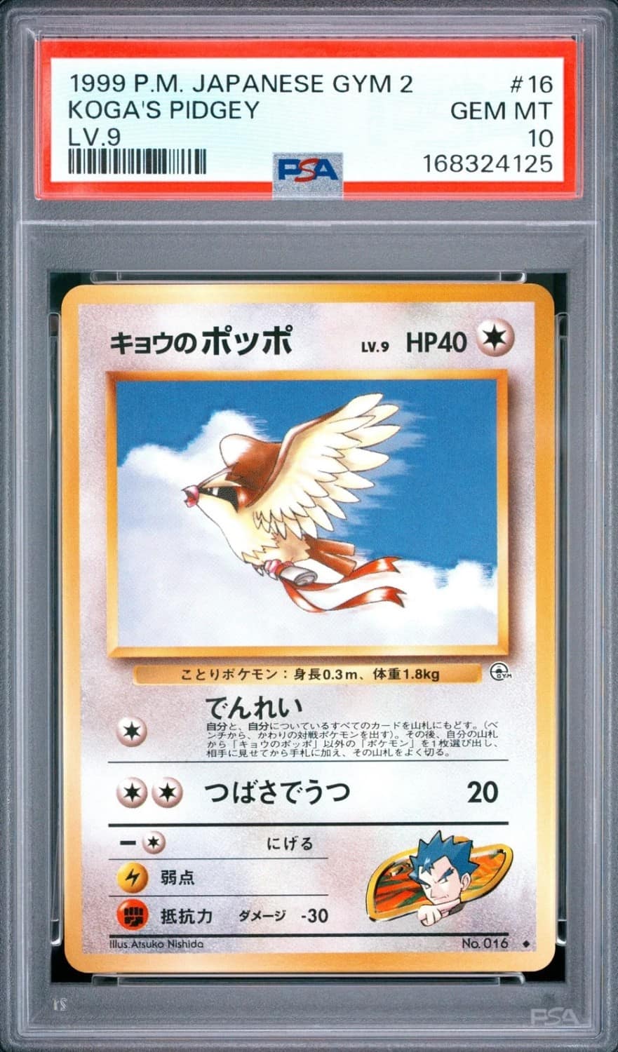 Koga'S Pidgey