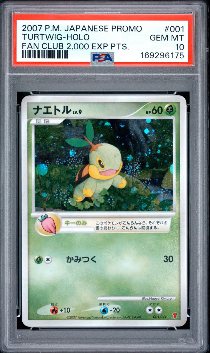 Turtwig