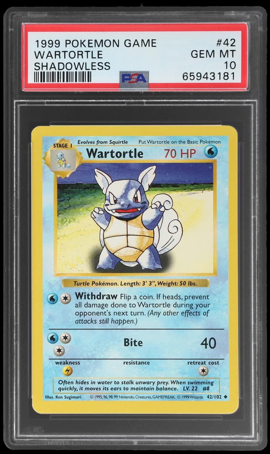 Wartortle