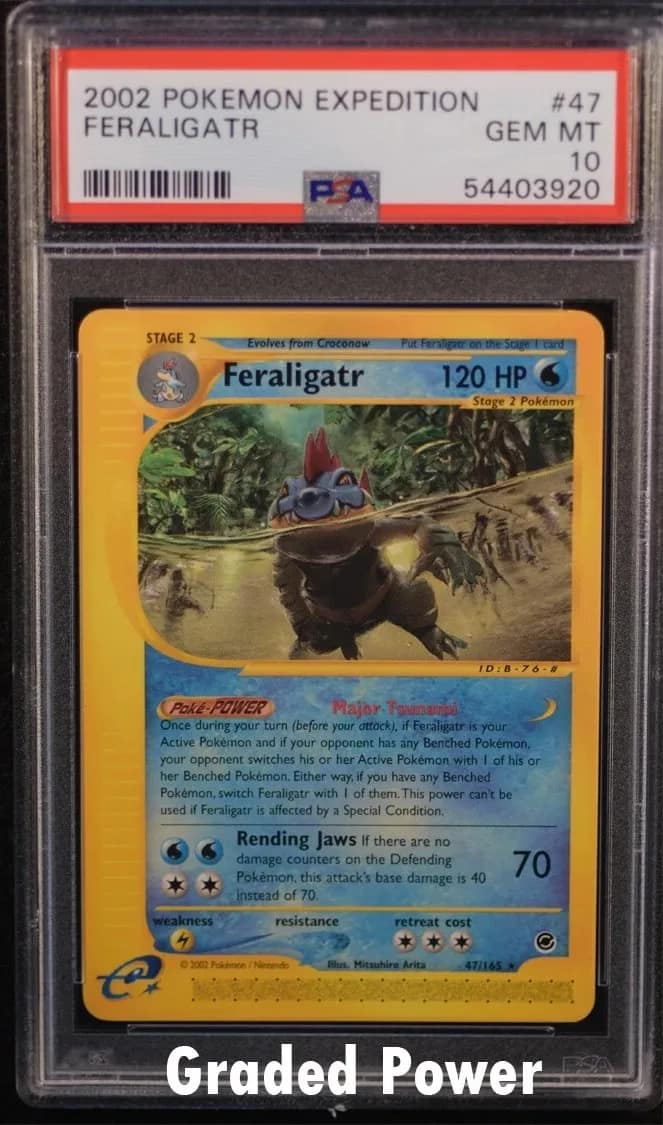 Feraligatr