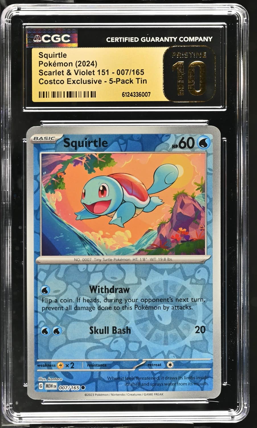 Squirtle