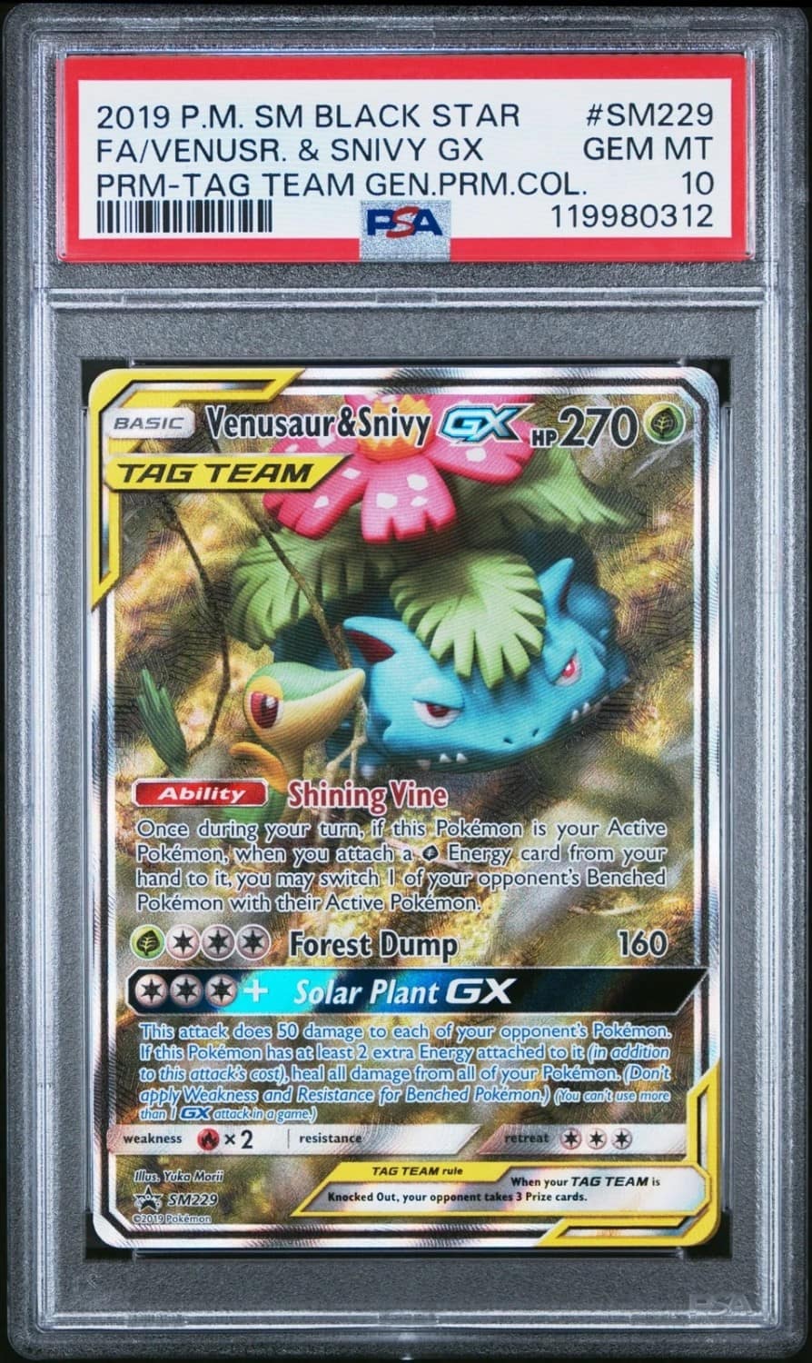 Venusaur & Snivy Gx