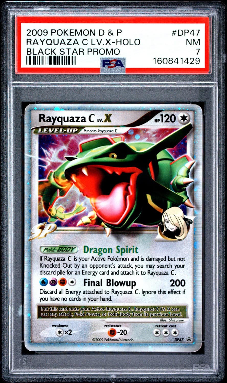 Rayquaza C Lv X