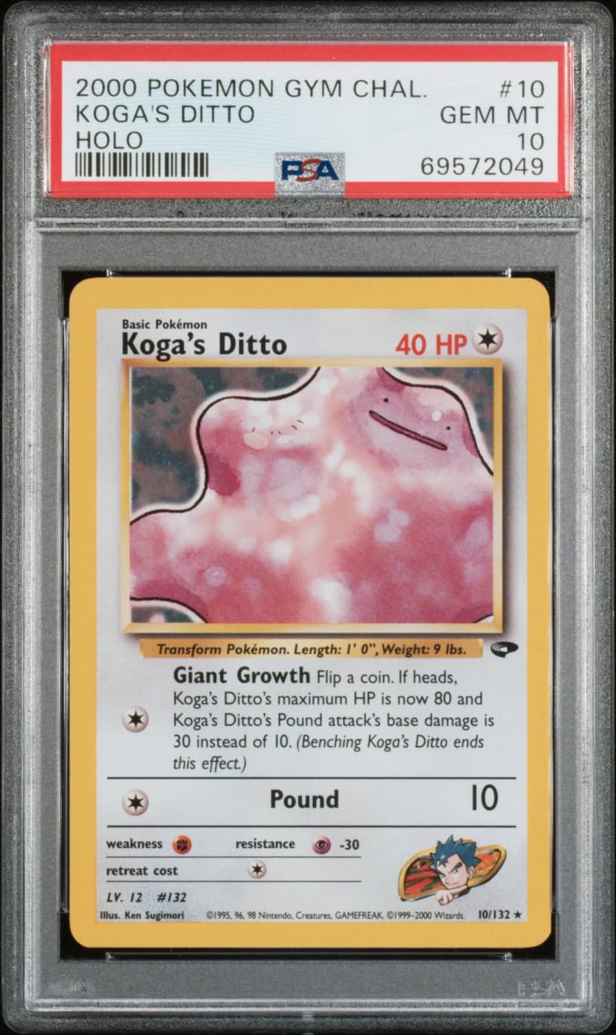 Koga'S Ditto
