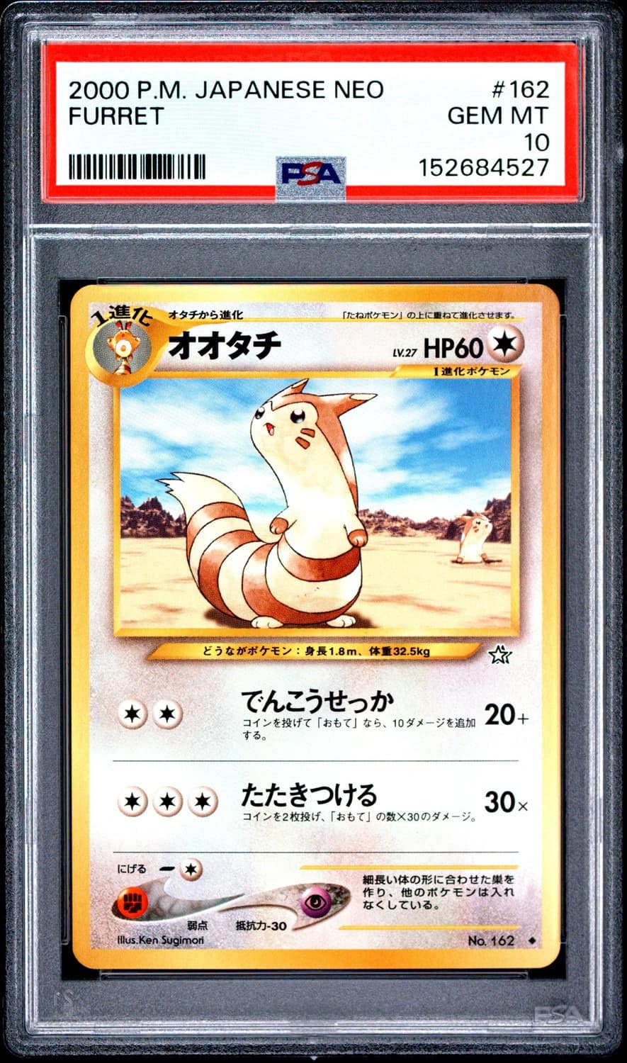 Furret