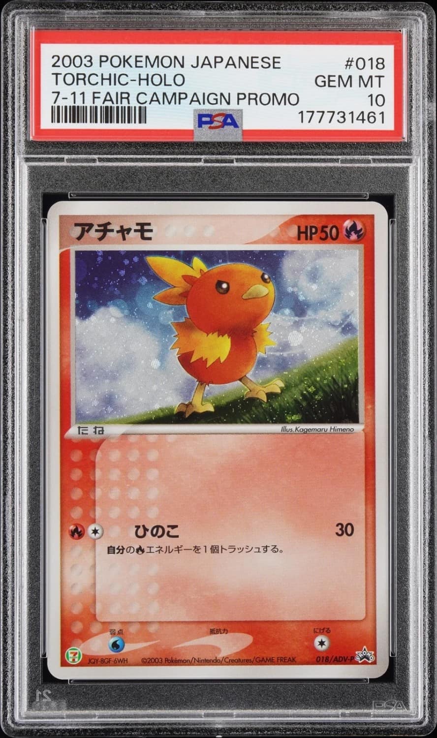 Torchic