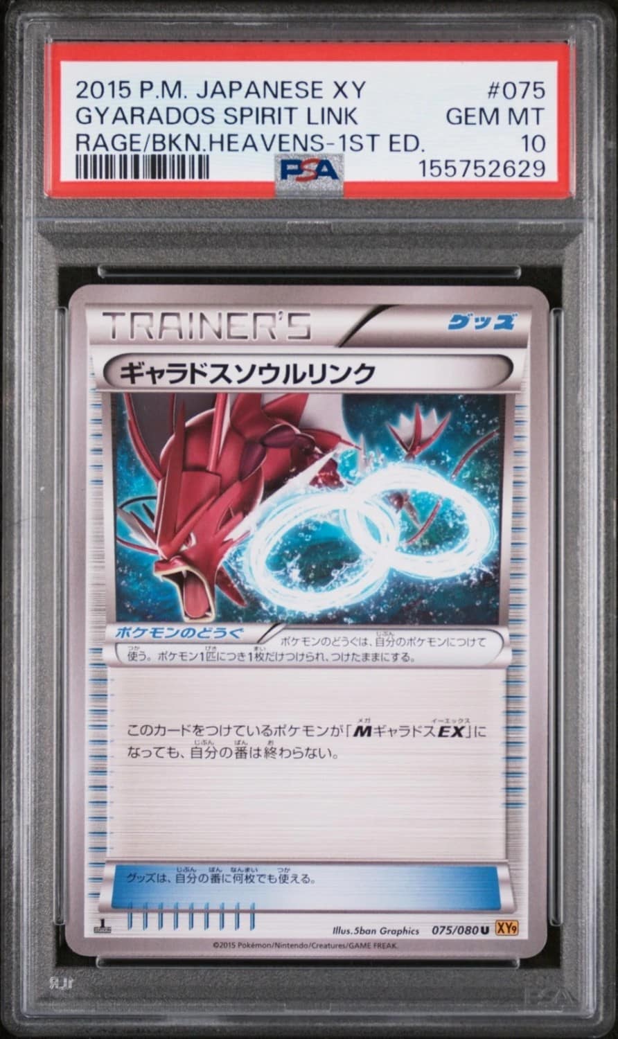 Gyarados Spirit Link