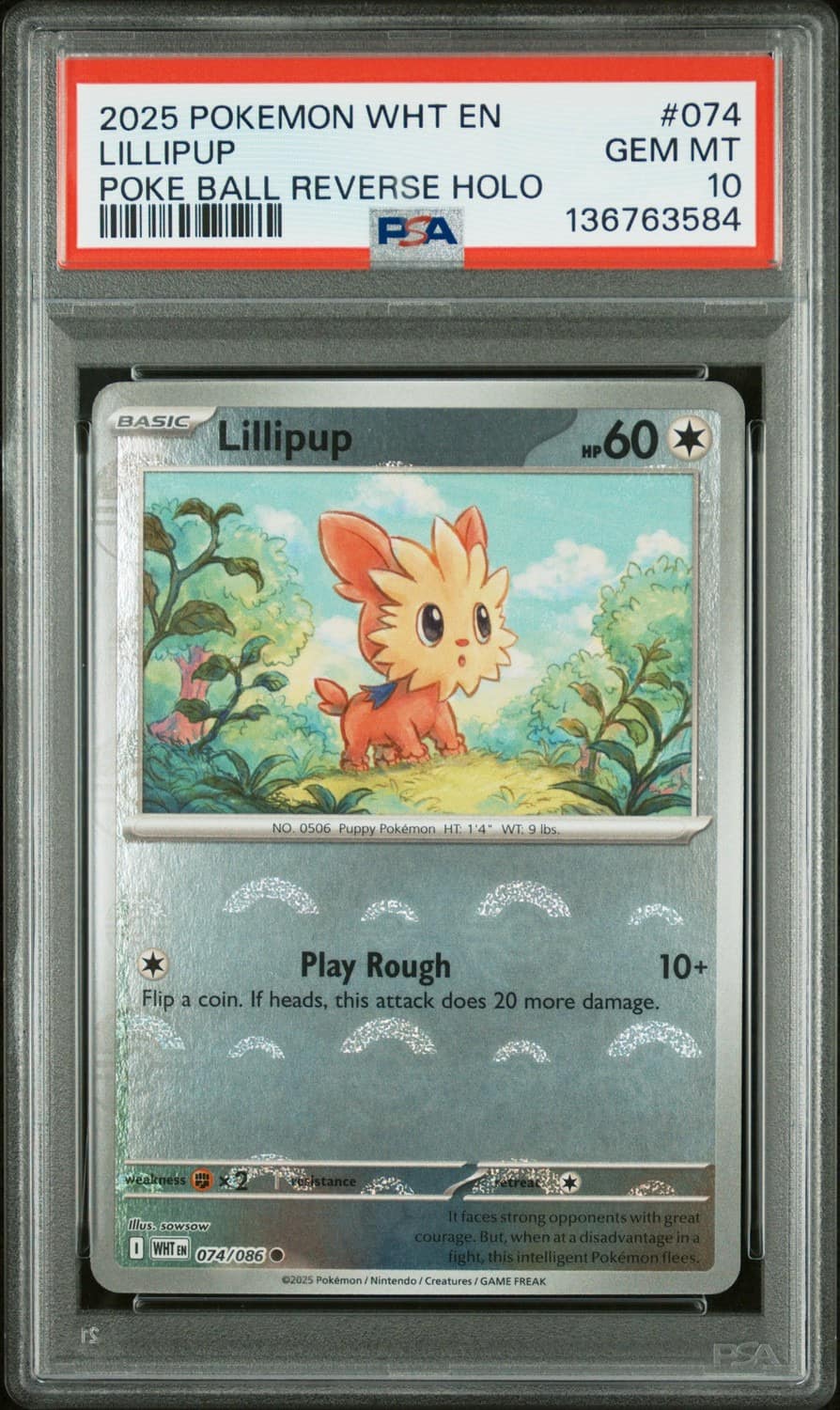 Lillipup