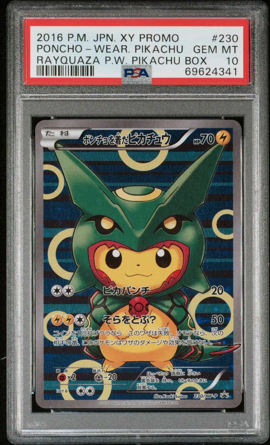 Poncho-Wearing Pikachu