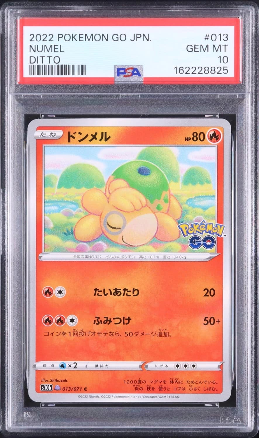 Numel
