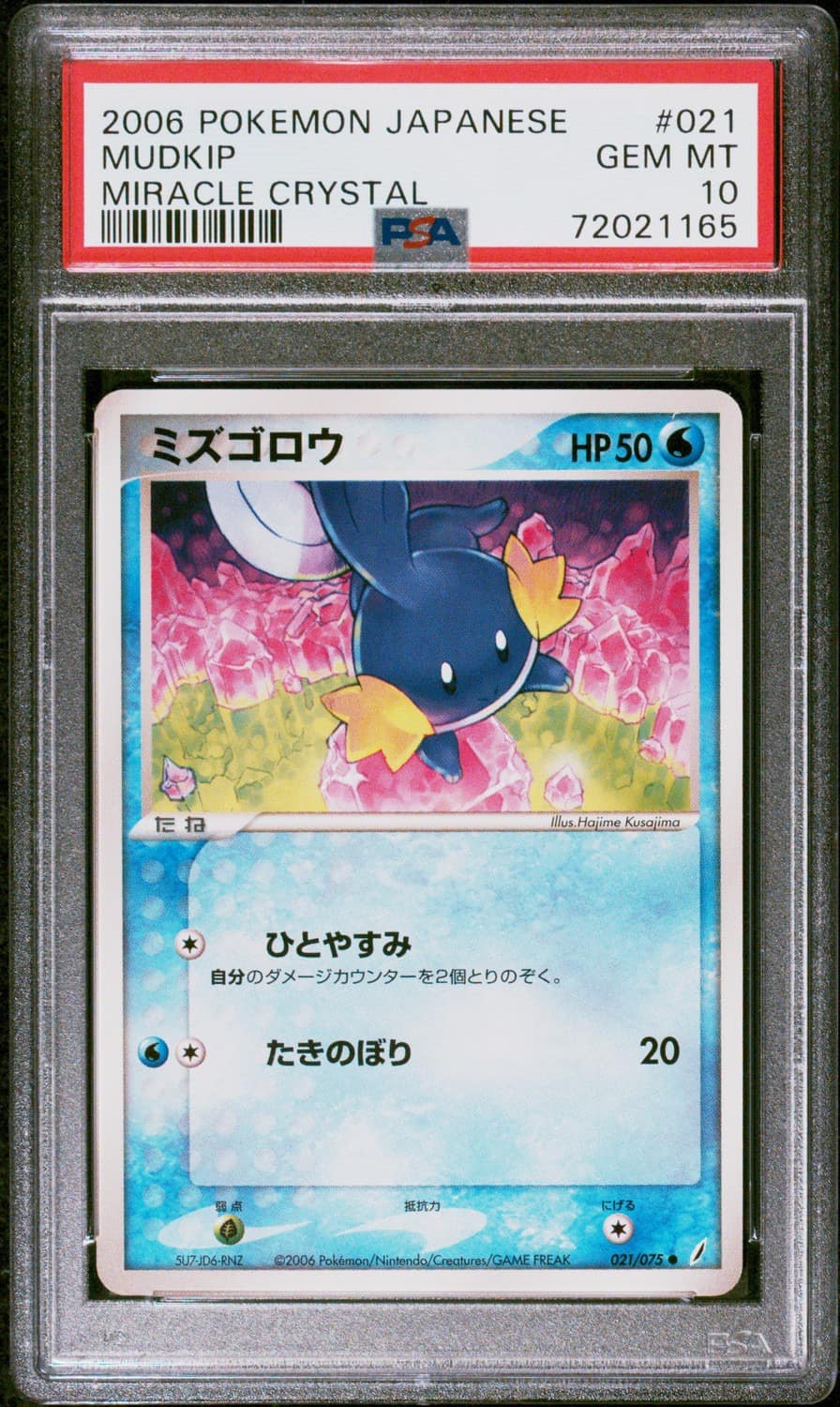 Mudkip