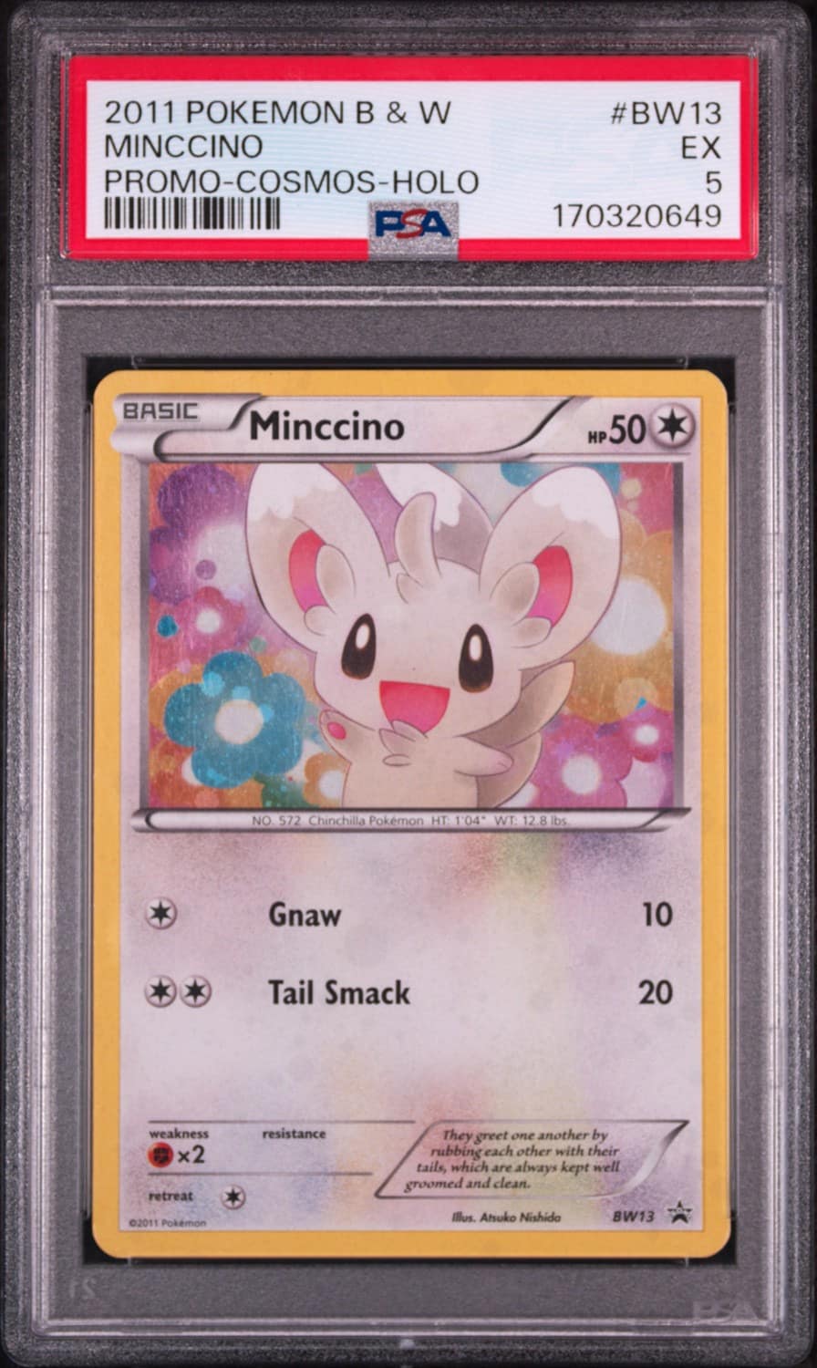 Minccino