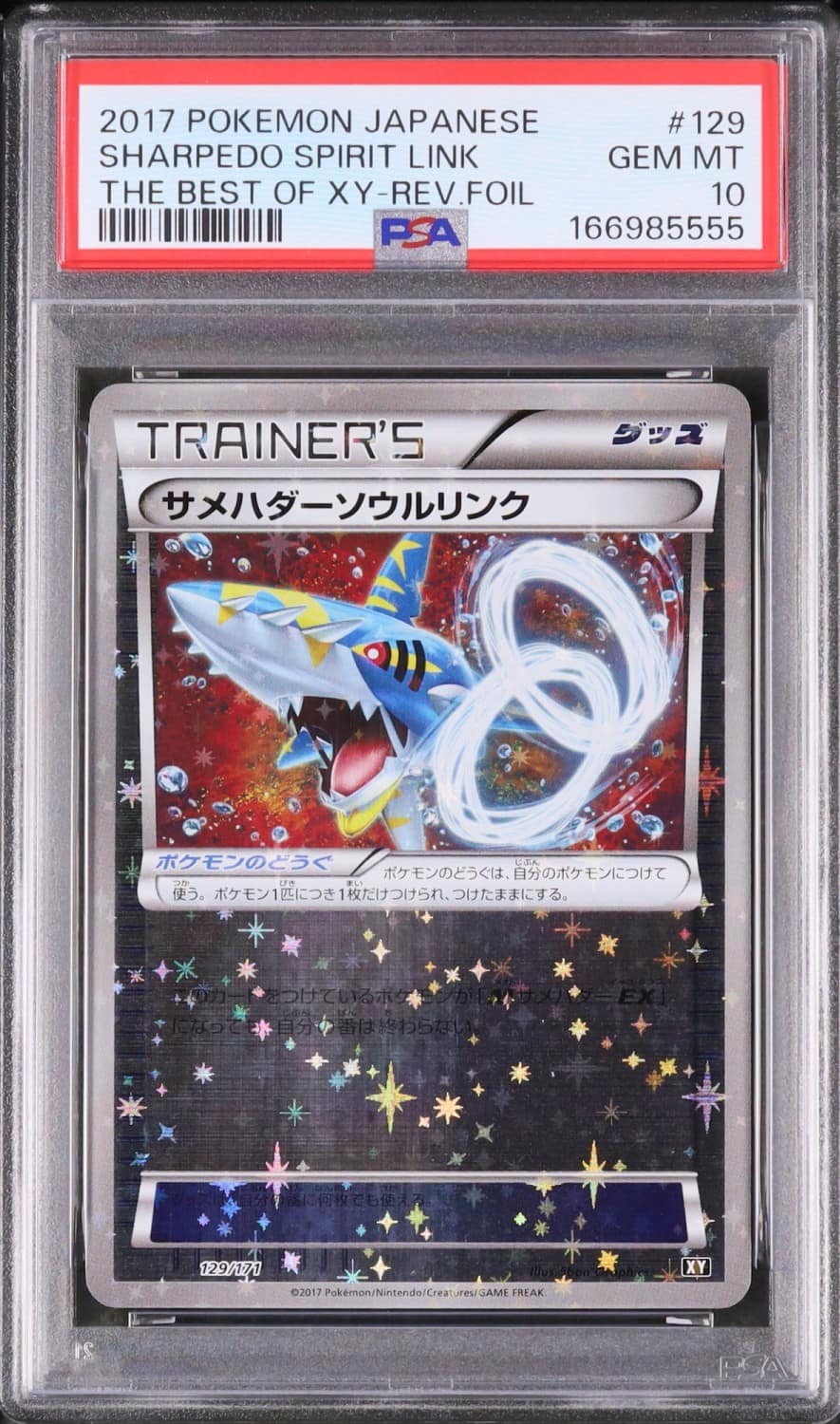 Sharpedo Spirit Link